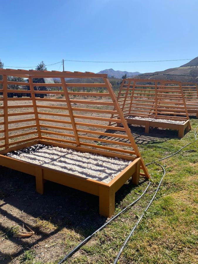 Cabanas Vicuna Cielo De Peralillo - Valle De Elqui Exterior photo